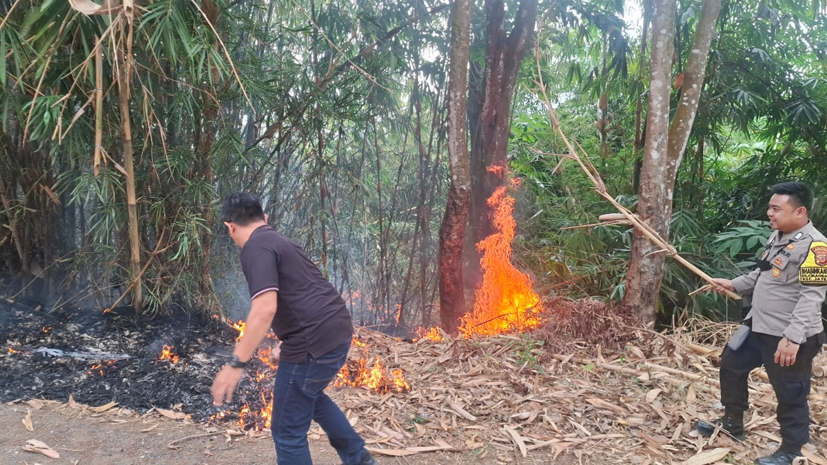 Kebakaran Lahan di Cibinong, Polsek Jatiluhur Bergerak Cepat Cegah Api Meluas